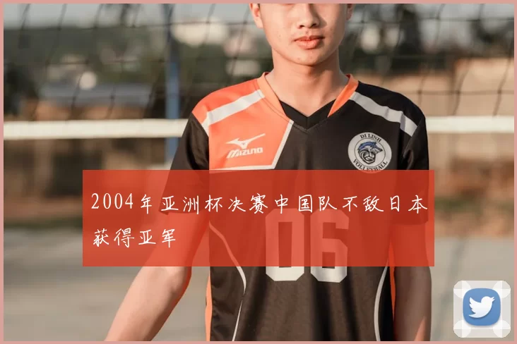 2004年亚洲杯决赛中国队不敌日本获得亚军