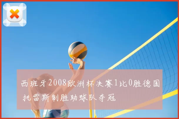 西班牙2008欧洲杯决赛1比0胜德国 托雷斯制胜助球队夺冠