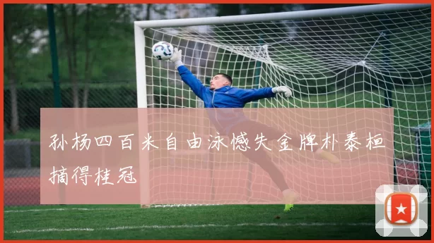 孙杨四百米自由泳憾失金牌朴泰桓摘得桂冠