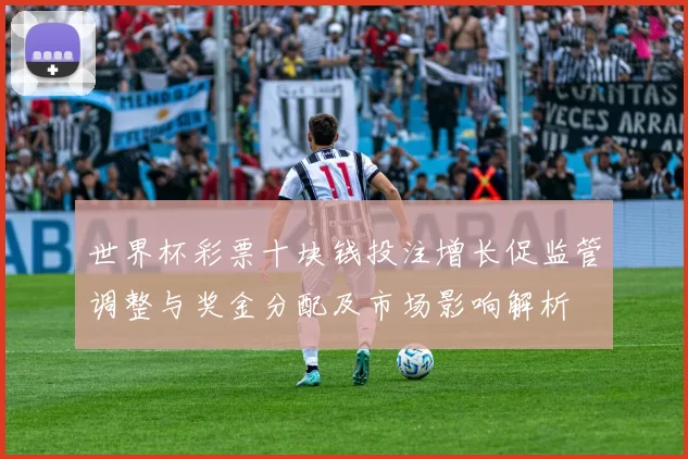 世界杯彩票十块钱投注增长促监管调整与奖金分配及市场影响解析